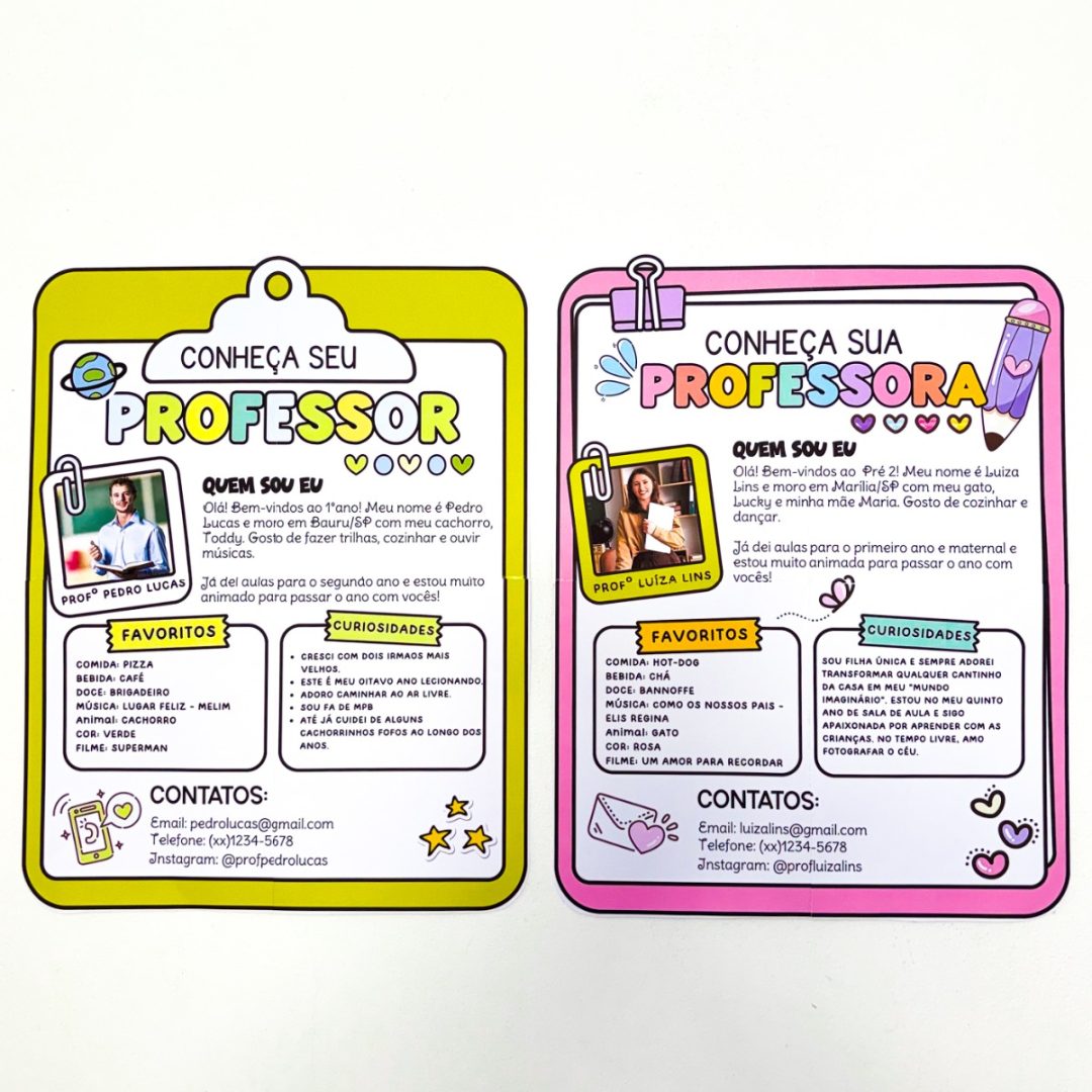 Conhecendo o Professor